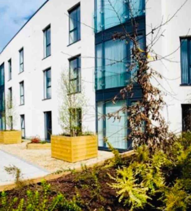 Ormeau Road Stylish Double Bedroom Luxury Apartment Белфаст Экстерьер фото